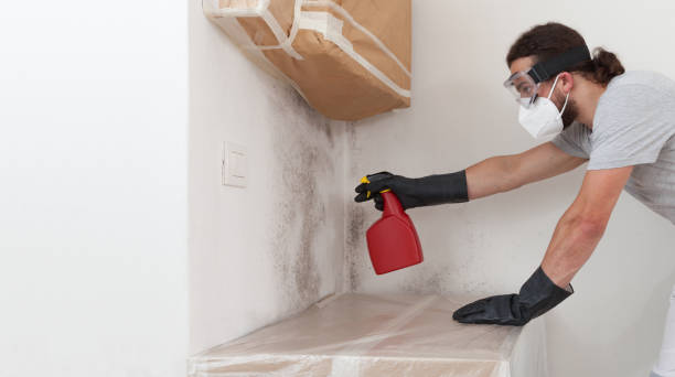 Professional Bathroom Mold Removal technician working in Jamestown, NY