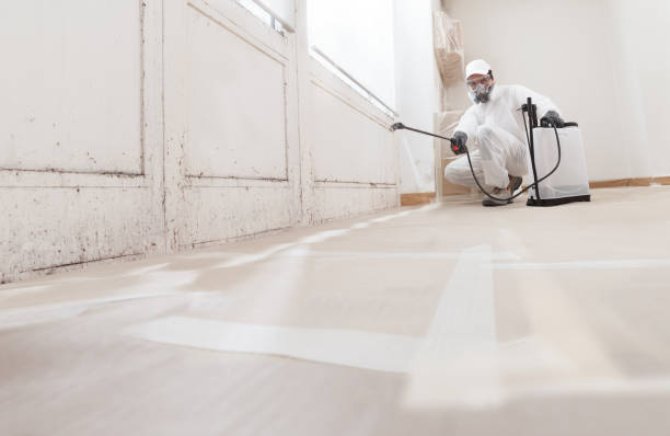 24/7 Emergency Bathroom Mold Removal experts in Jamestown, NY